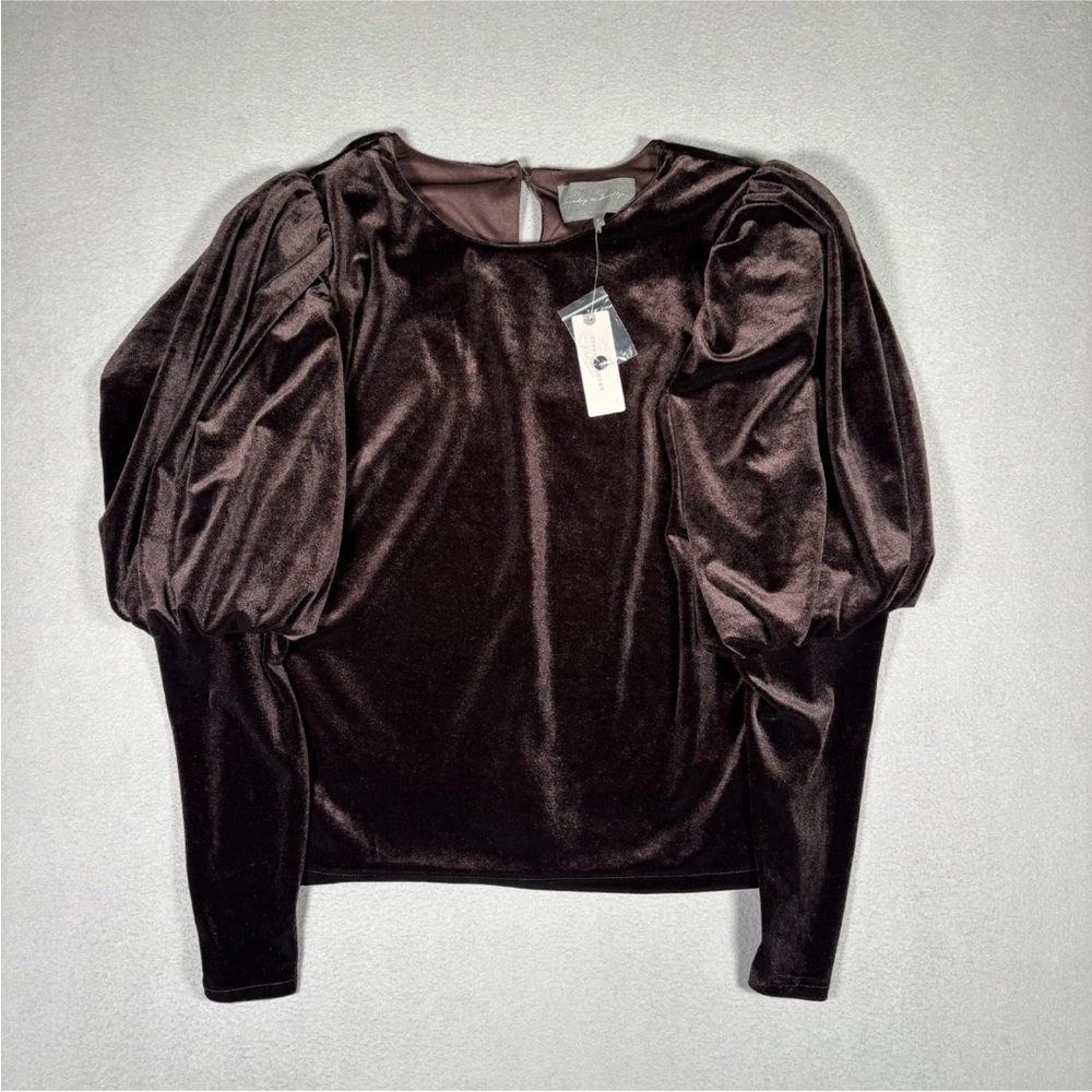 Sunday In Brooklyn Anthropologie Velvet Puff Sleeve Top Women’s X-Large Brown - Picture 2 of 12